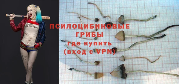 синтетический гашиш Сосновоборск