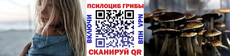 Псилоцибиновые грибы мухоморы  OMG как зайти  Щучье 